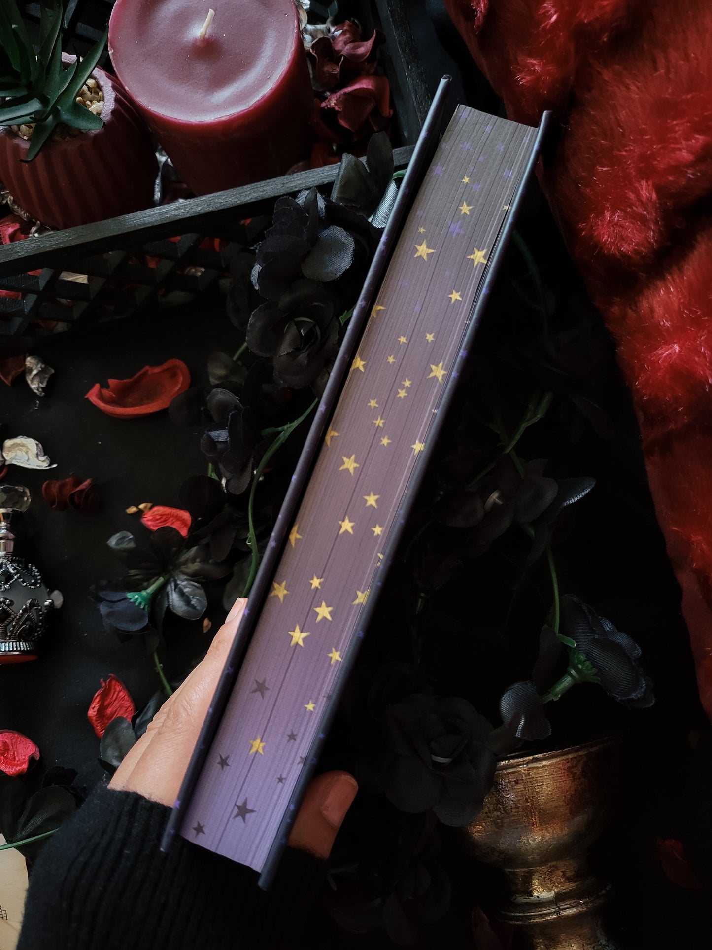 A Cursed Son (Collector's Edition)