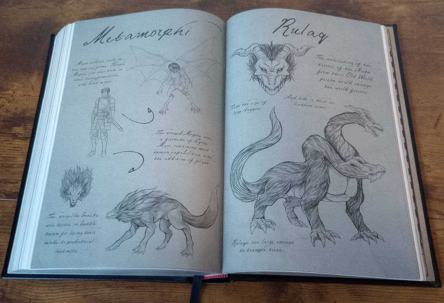 The Shadow Watch: The Shadow Watch Saga Book 1 (Collector's Edition)