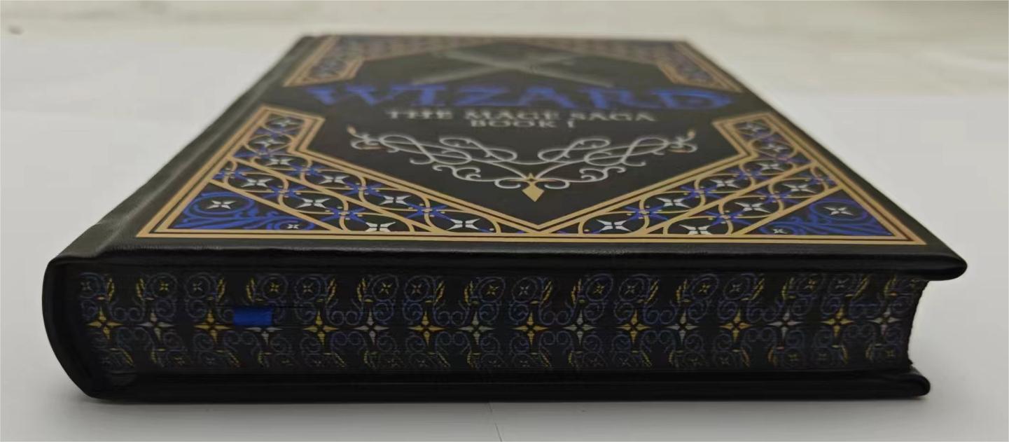 The Mage Saga Book 1: WIZARD (Collector's Edition)