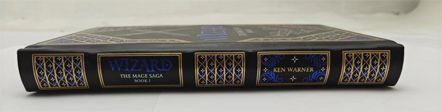 The Mage Saga Book 1: WIZARD (Collector's Edition)