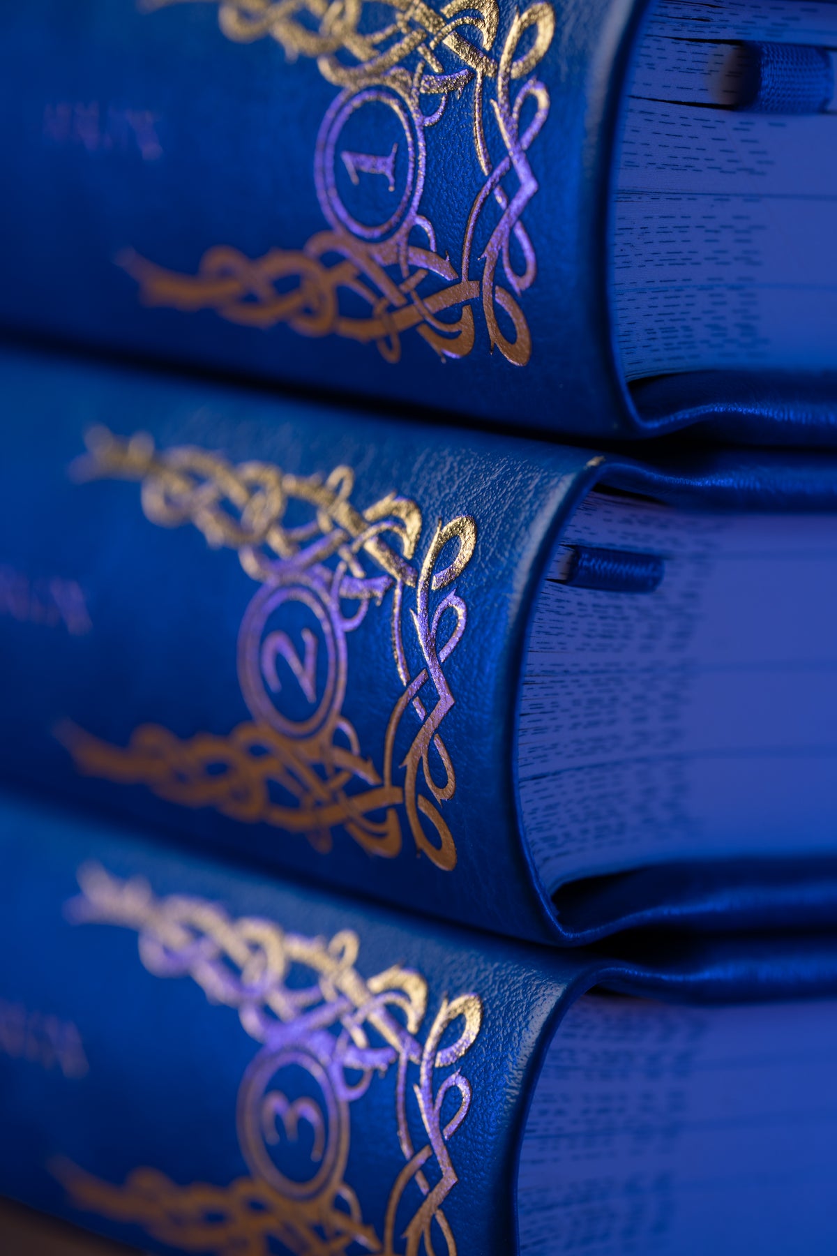 The Ragnarok Prophecy Books 1-3 (Collector's Edition)