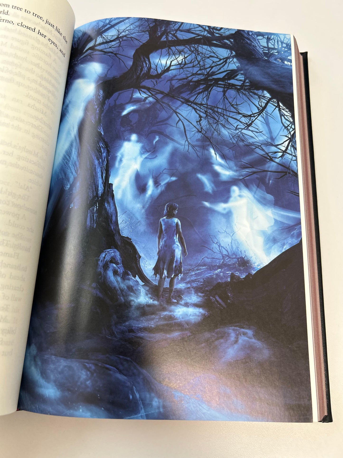 The Darkling Queen: The Shadow Watch Saga Book 3 (Collector's Edition)