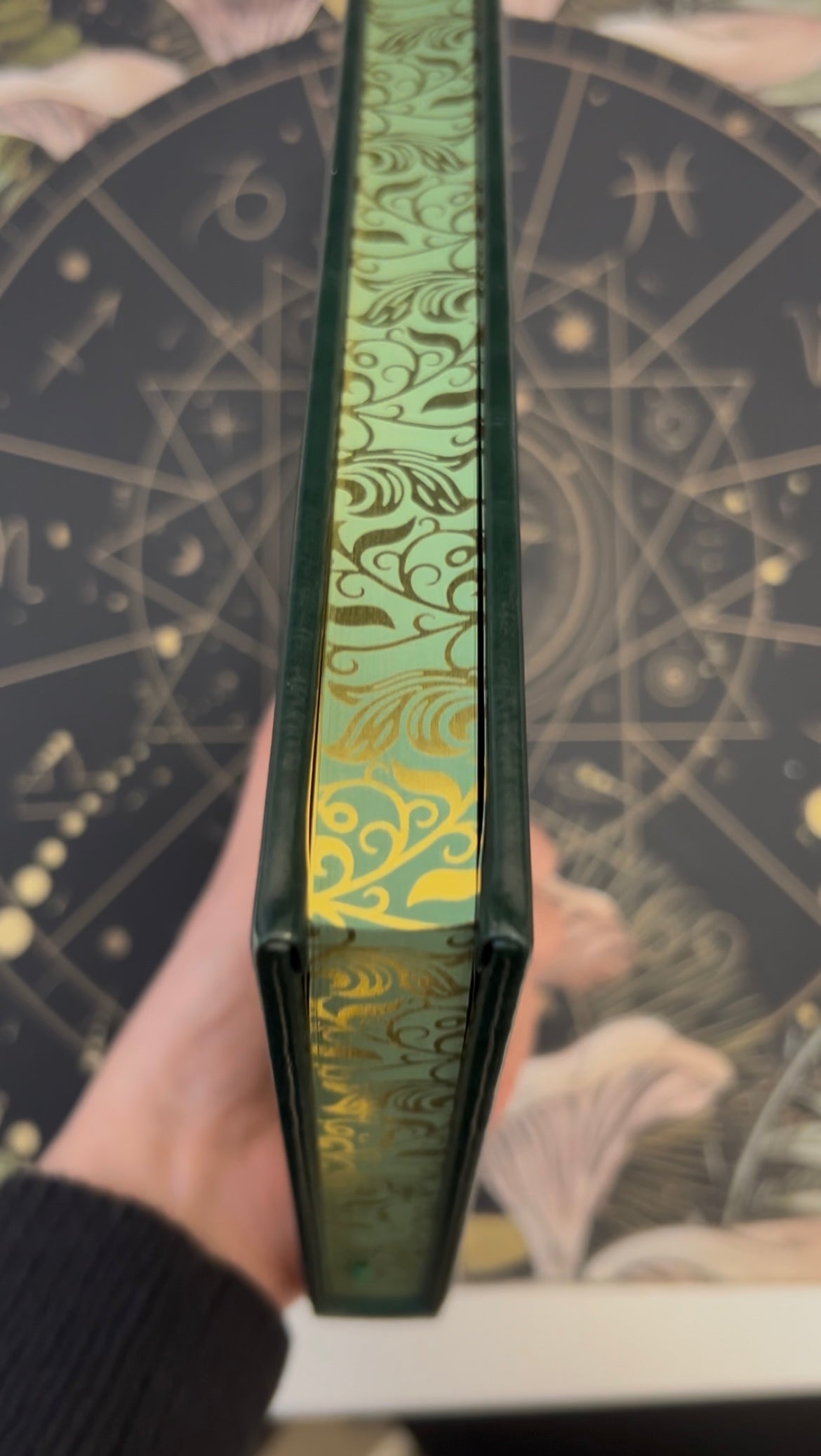 Benjamin Ashwood Book 1 (Collector's Edition)